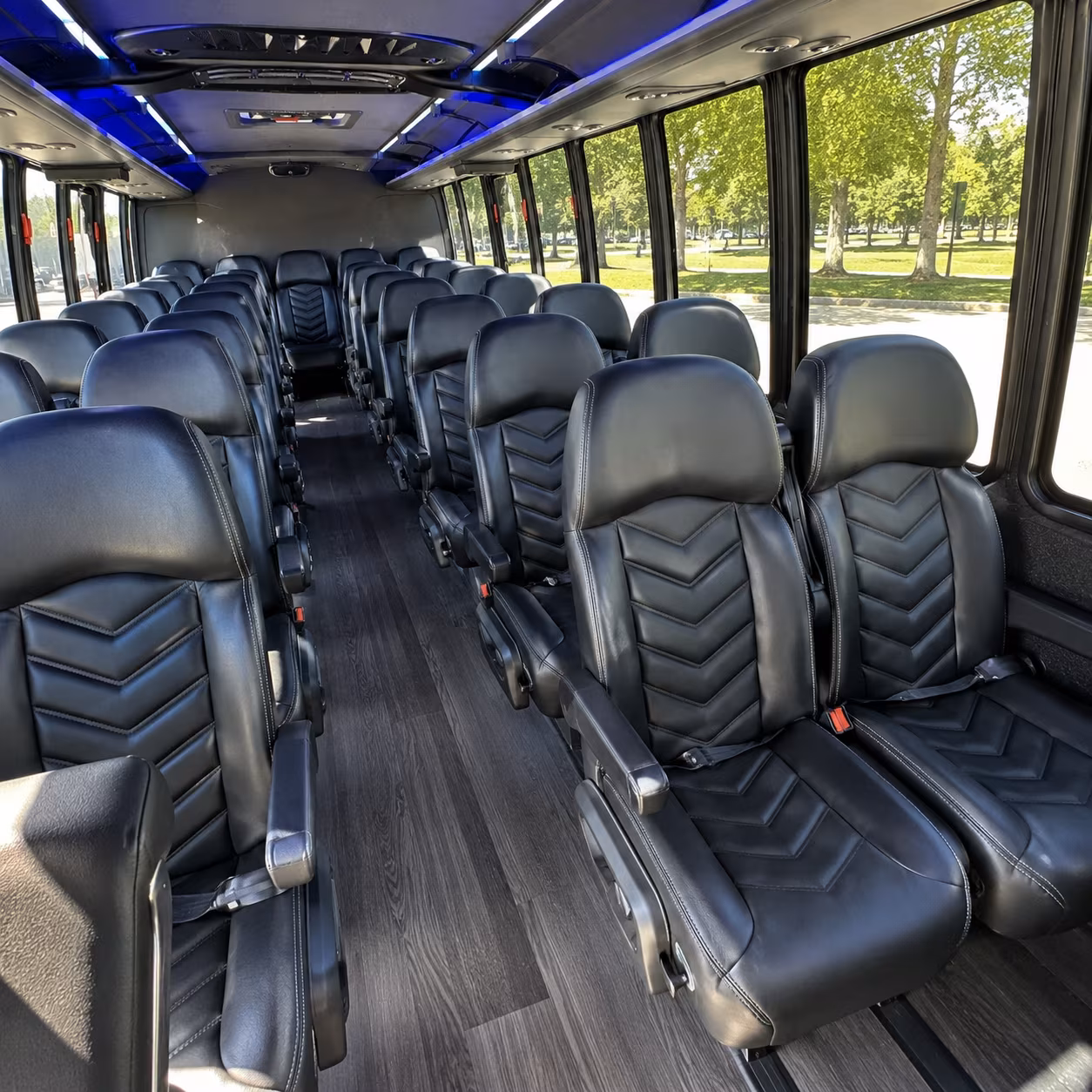 Tampa Airport Shuttles & Transportation